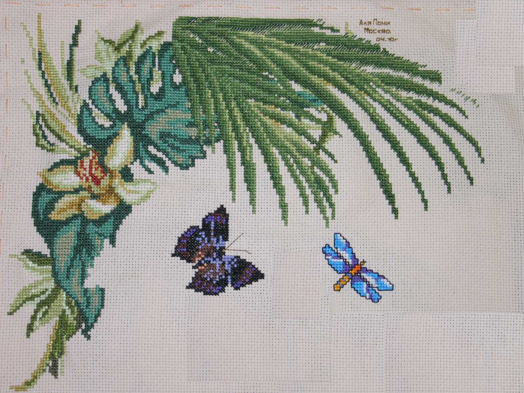 9 этап. Робин (закончен)