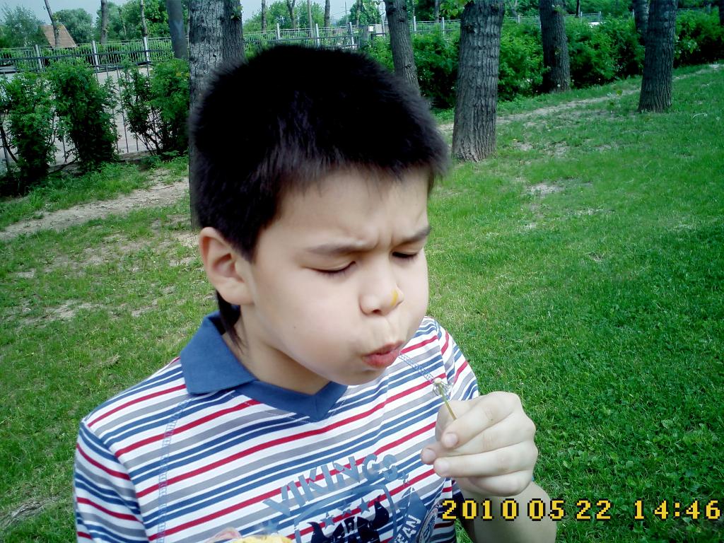 Одуванчик - толстые щёки:). Дети