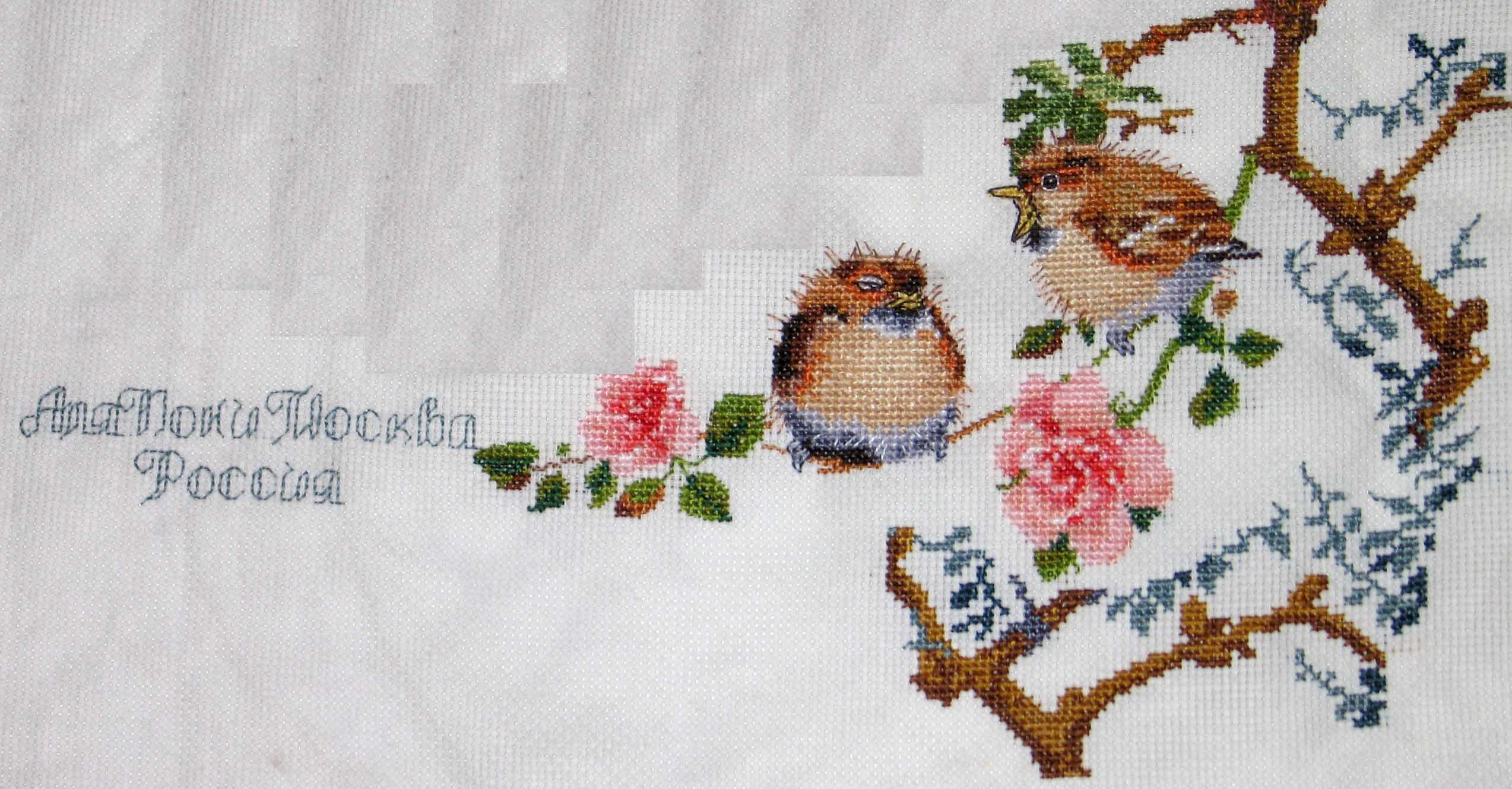 10 этап. Робин (закончен)