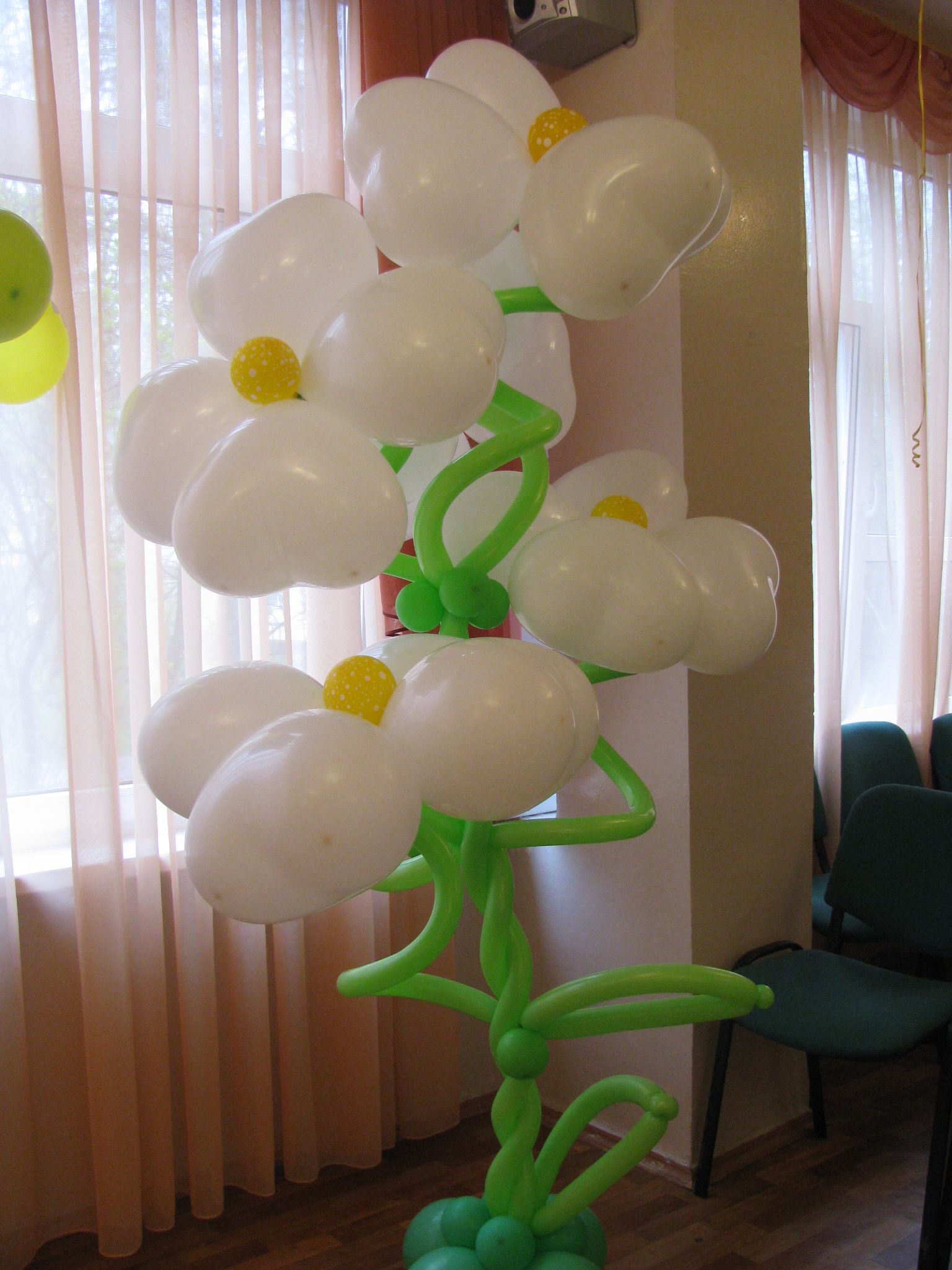 ромашка для оформления зала