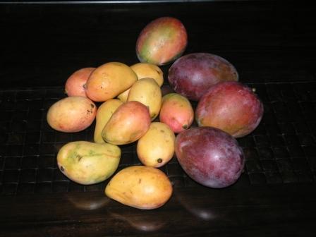 фрукты, цветы