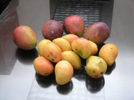 фрукты, цветы