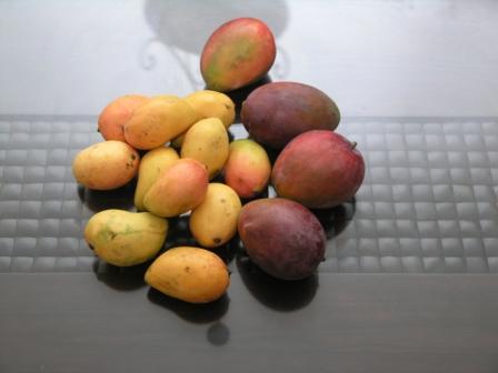 фрукты, цветы