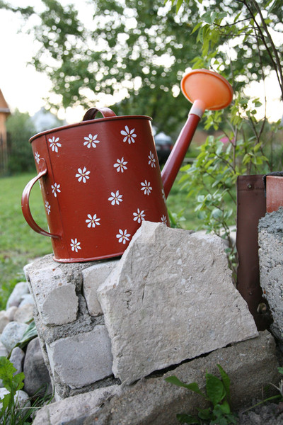 наверное раньше она была зеленой.... Дачное-Удачное-2008:-) моя «станковая и прикладная живопись':-))