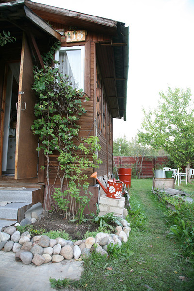 преображенная лейка ан-фас. Дачное-Удачное-2008:-) моя «станковая и прикладная живопись':-))