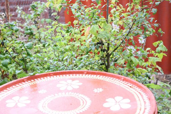 а если взять эту крышку от большой бочки и .... Дачное-Удачное-2008:-) моя «станковая и прикладная живопись':-))