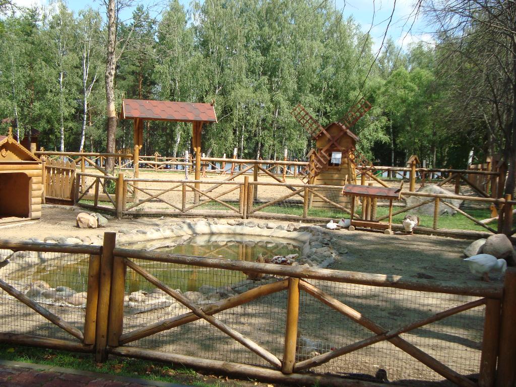 Яхонты 2010 июль