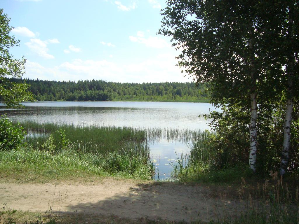 Яхонты 2010 июль