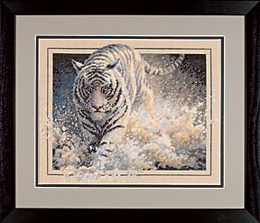 35108 White Lightning. Dimensions Gold 1