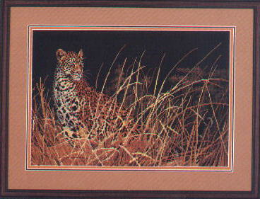 03894 The Leopard Hunts Alone. Dimensions Gold 1