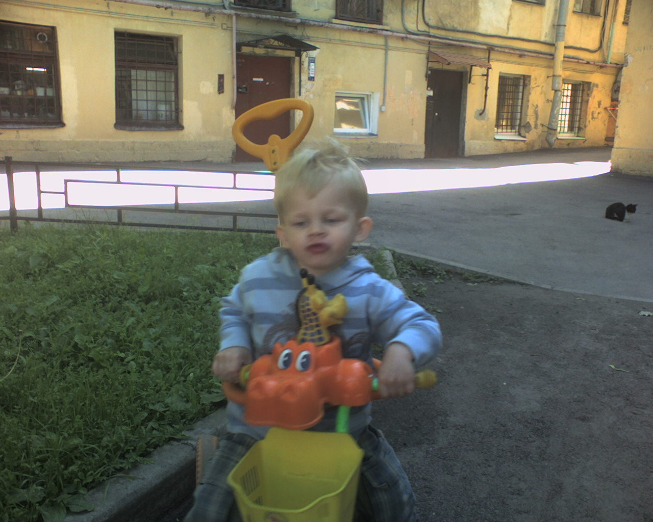 и велосипед тоже осилим!. лето 2010