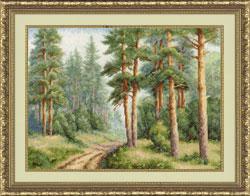 Времена года Сосновый бор. Золотое Руно