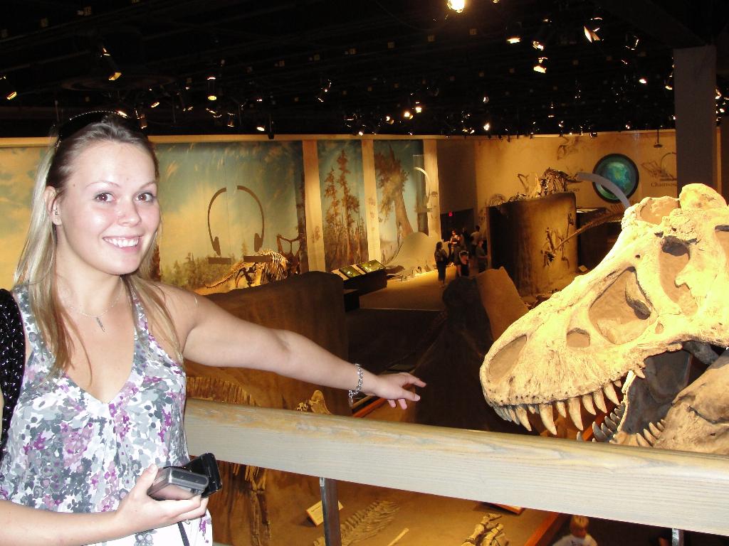 Июль 2010, динозавры, бассейны, самолеты и т.д.