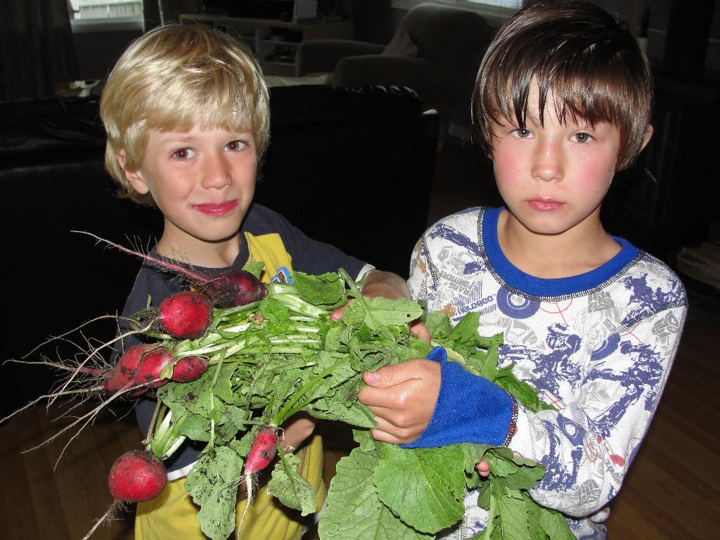 Ogorodniki!!!!!. Июль 2010