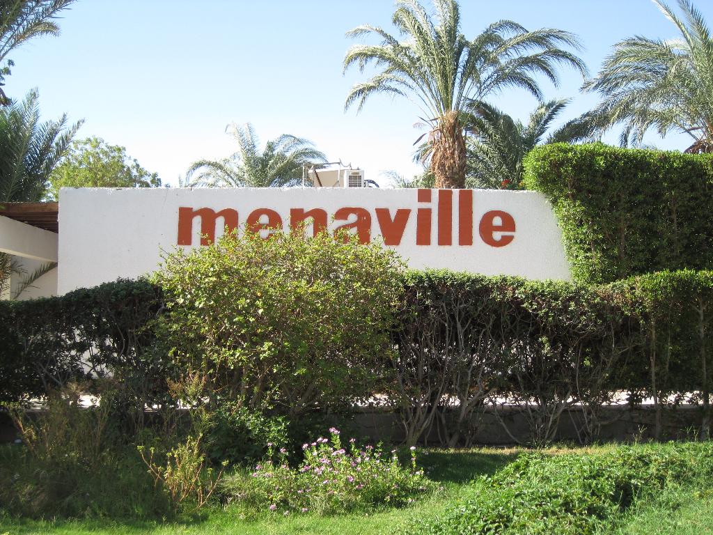 Еги июнь-июль 2010