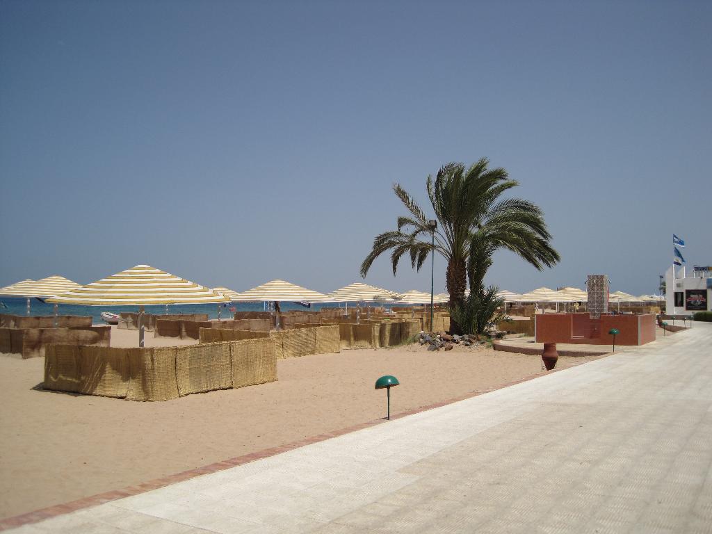 Еги июнь-июль 2010