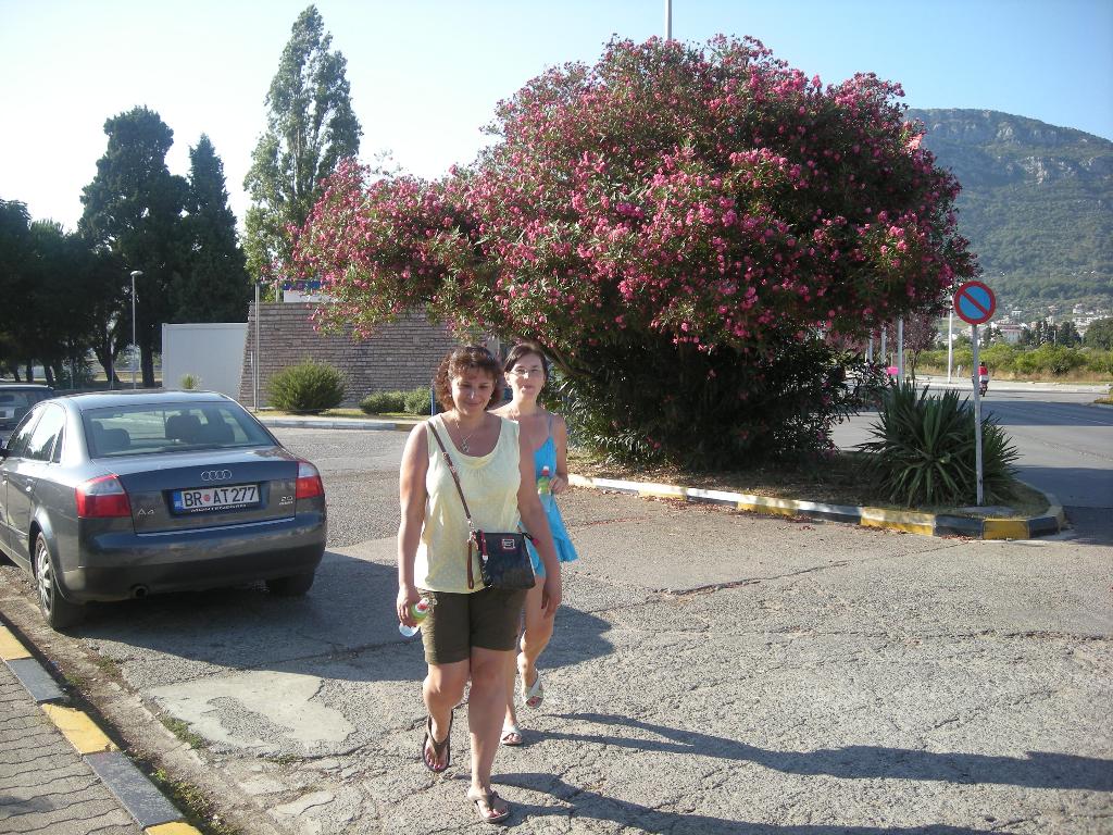 Черногория 2010