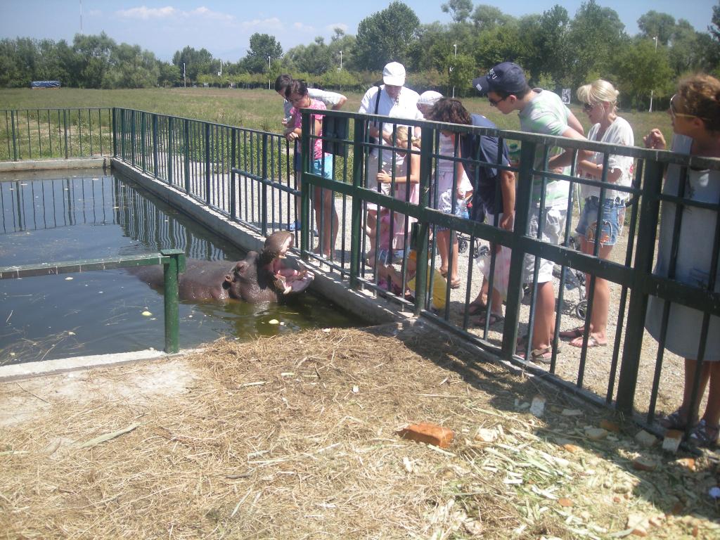 Черногория. Черногория 2010