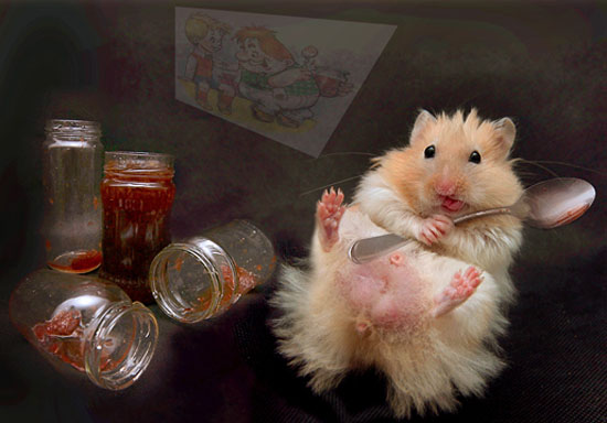 Мои закрома. 