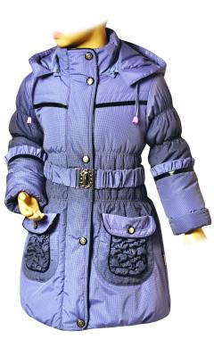 2738. Юкон зима 2010