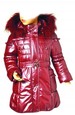 2739. Юкон зима 2010