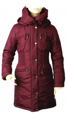 3313. Юкон зима 2010