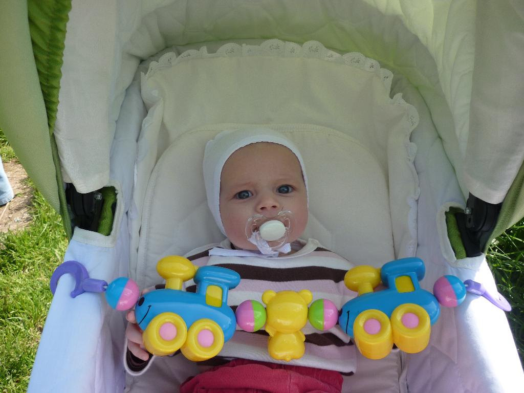 Как хорошо в любимой колясочке гулять!. 