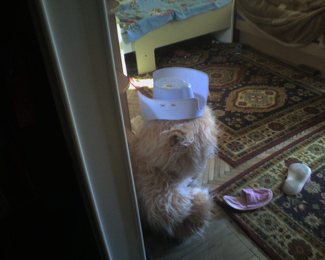 пока мамы нет - оденем медведя от кутюрье!!. лето 2010