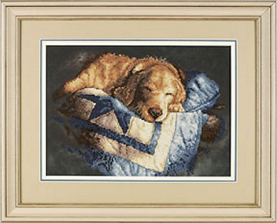 03220 Snooze. Dimensions 1