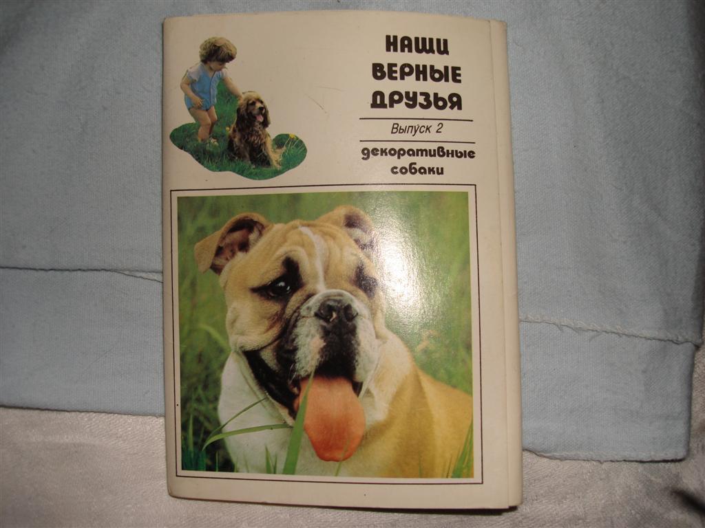 книги/фотоальбомы