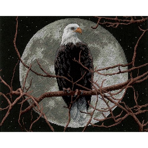 13688 Eagle in moonlight. Sunset 1