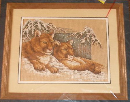 13655 Snowy Cougars. Sunset 1