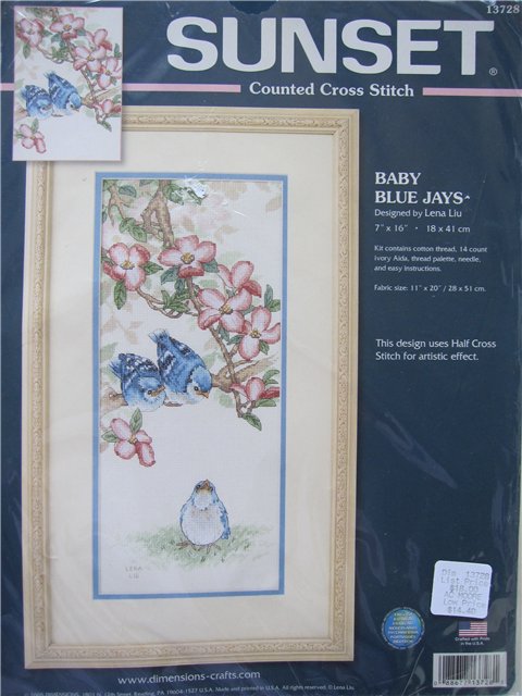 13728 Baby Blue Jays. Sunset 1