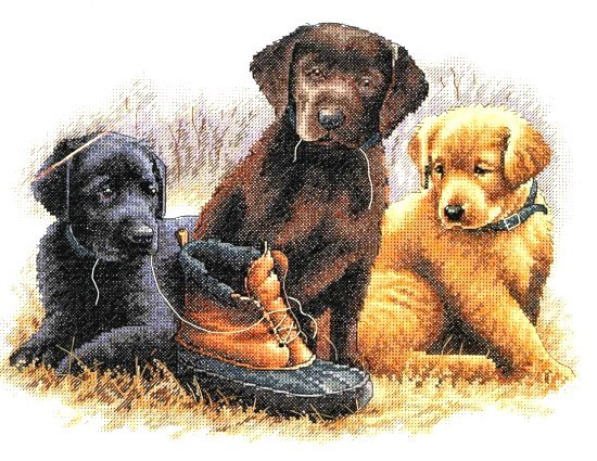 35188 Chew Toy. Dimensions 1