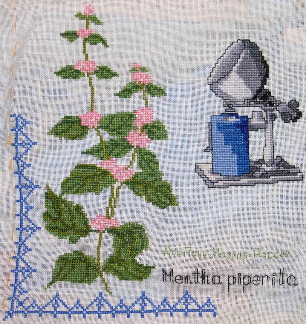 11 этап. Робин (закончен)