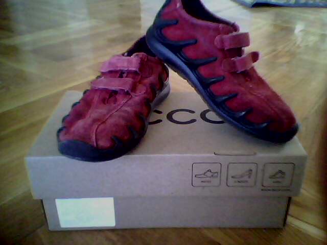 экко 29р 200р. продам!!!!