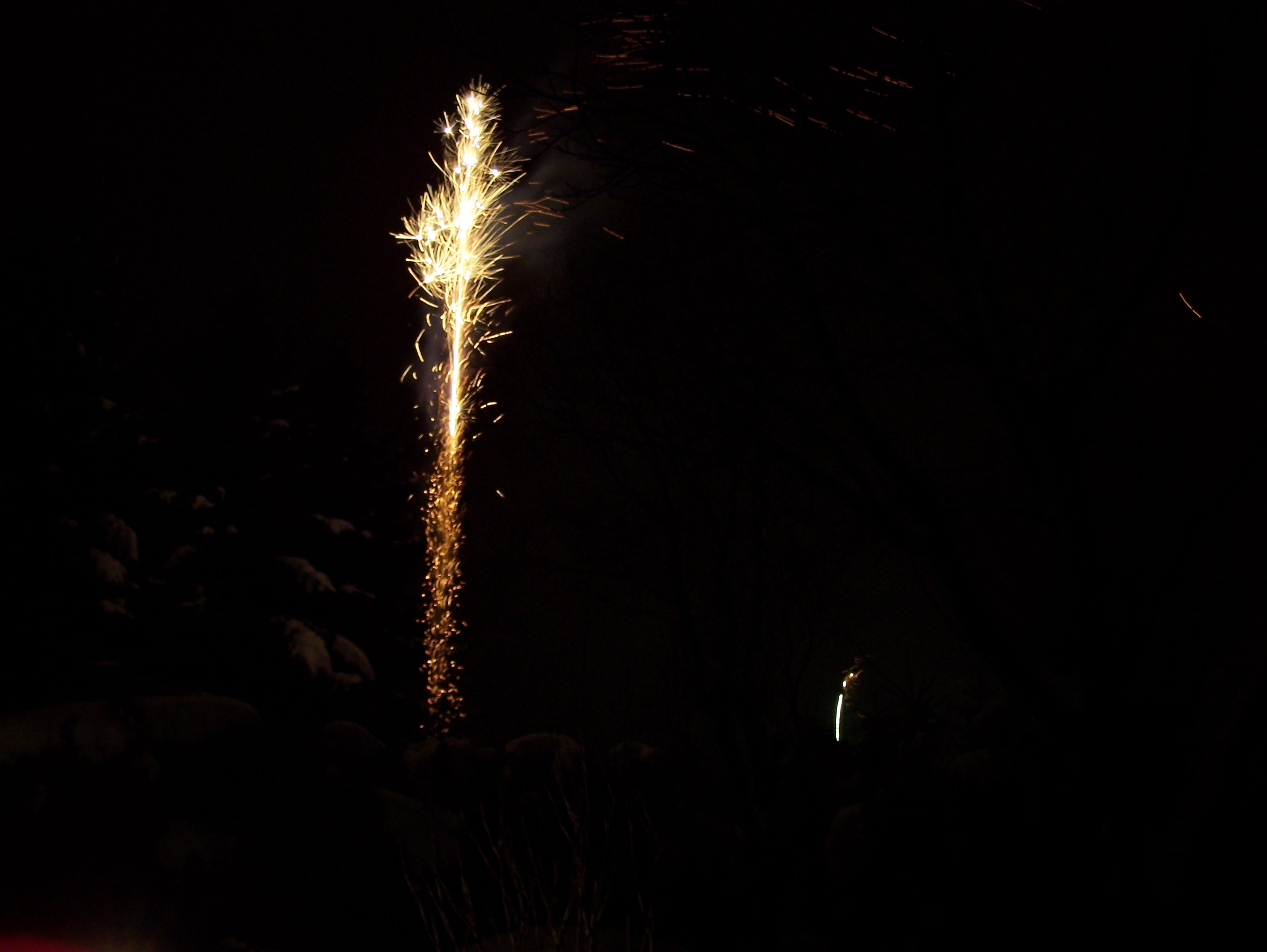 С Новым Годом!. Зима 2010-2011