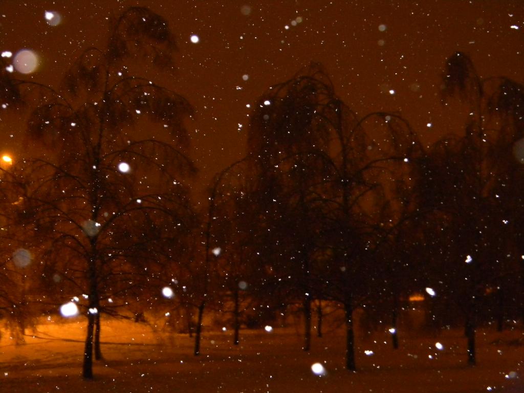 красиво.... Новый год 2011