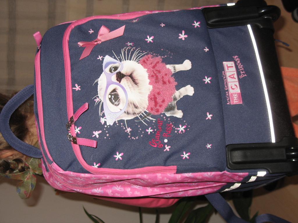 Рюкзак на колесиках. CL