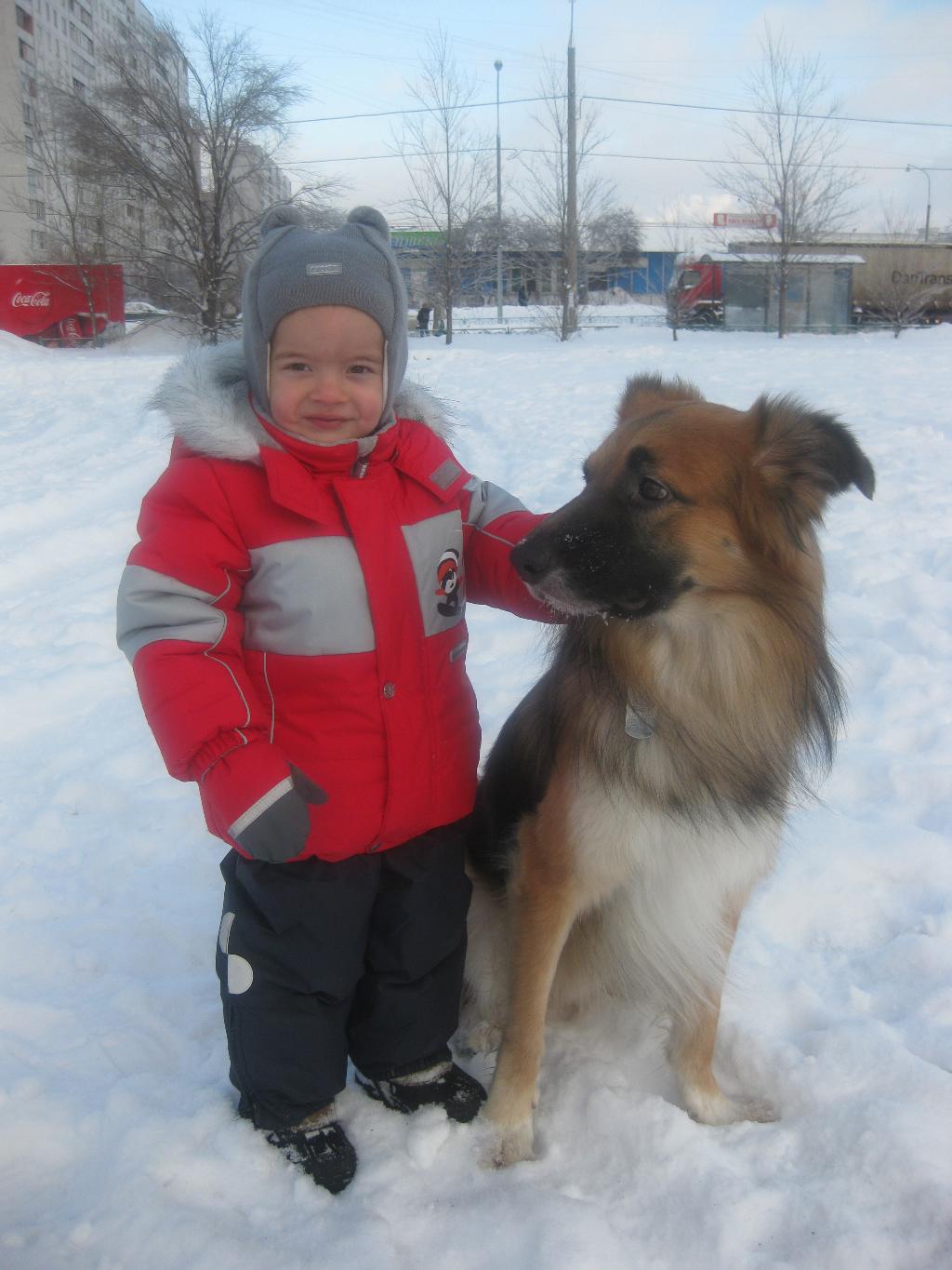 великолепная зима. великолепие