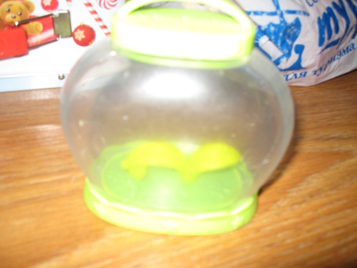 Аквариум. ДЕТЯМ-ИГРУШКИ,КНИГИ