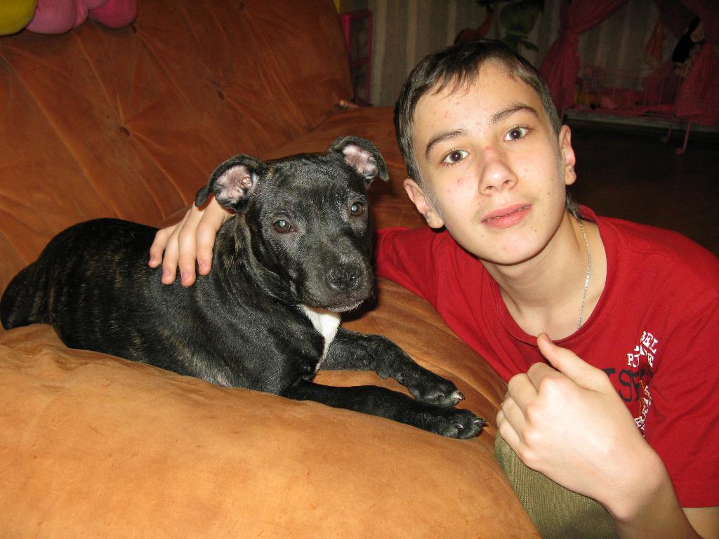 Наша стаффи Маргоша))). Зверьё моё)))