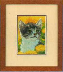 Котенок в одуванчиках. Мои планы