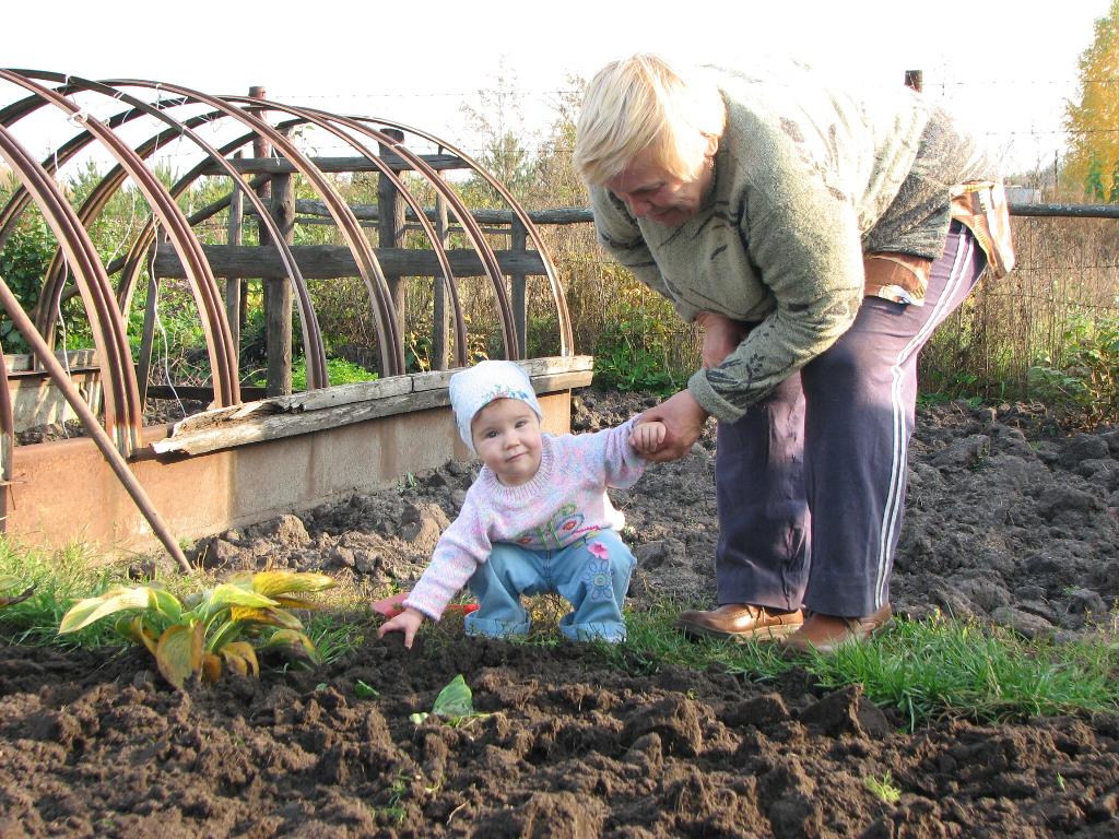 Дачница. Годовас