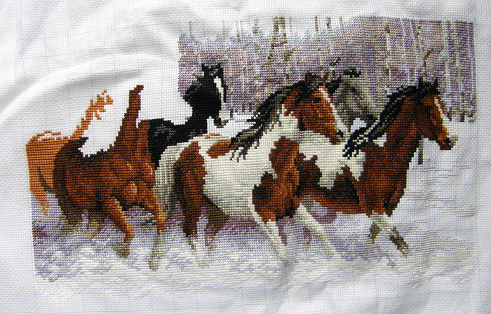 25 ноября 2011. Winter run