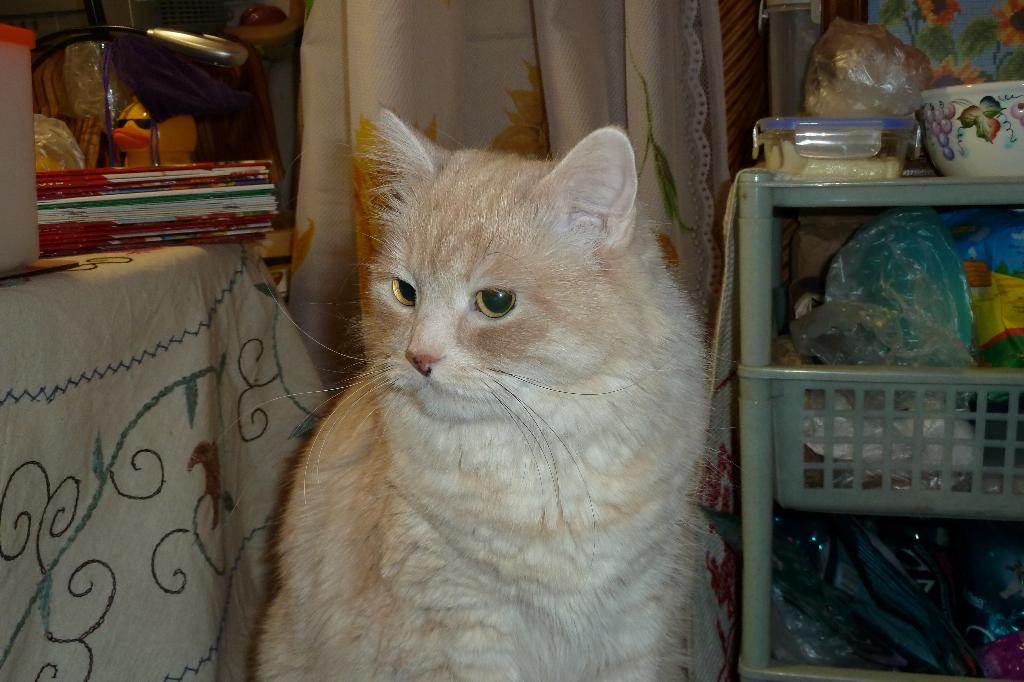 Солнышко мое. 