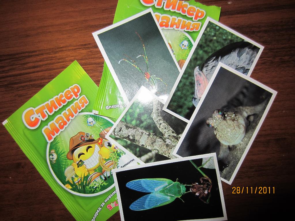 отдам и отдам за