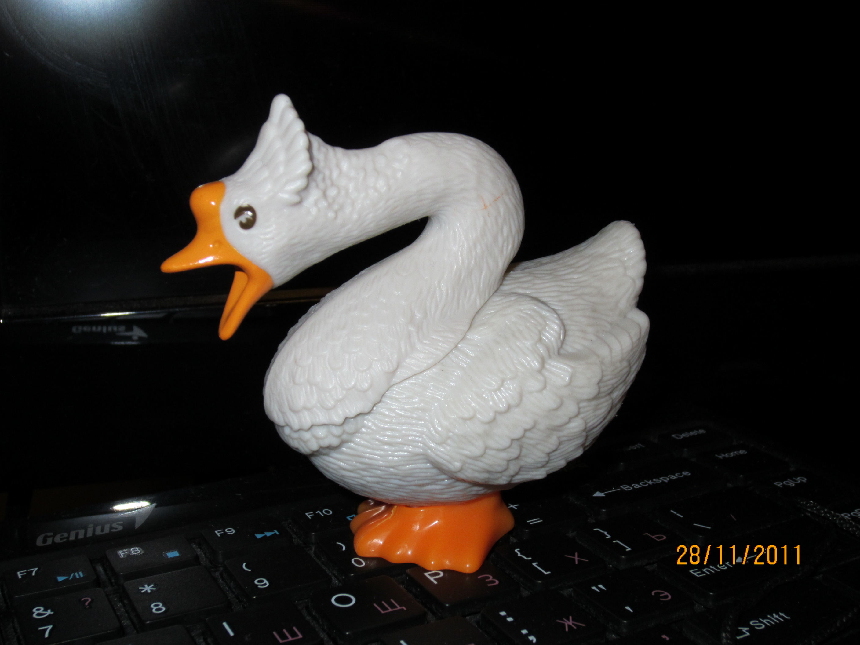 отдам и отдам за