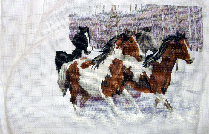 4 ноября 2011. Winter run