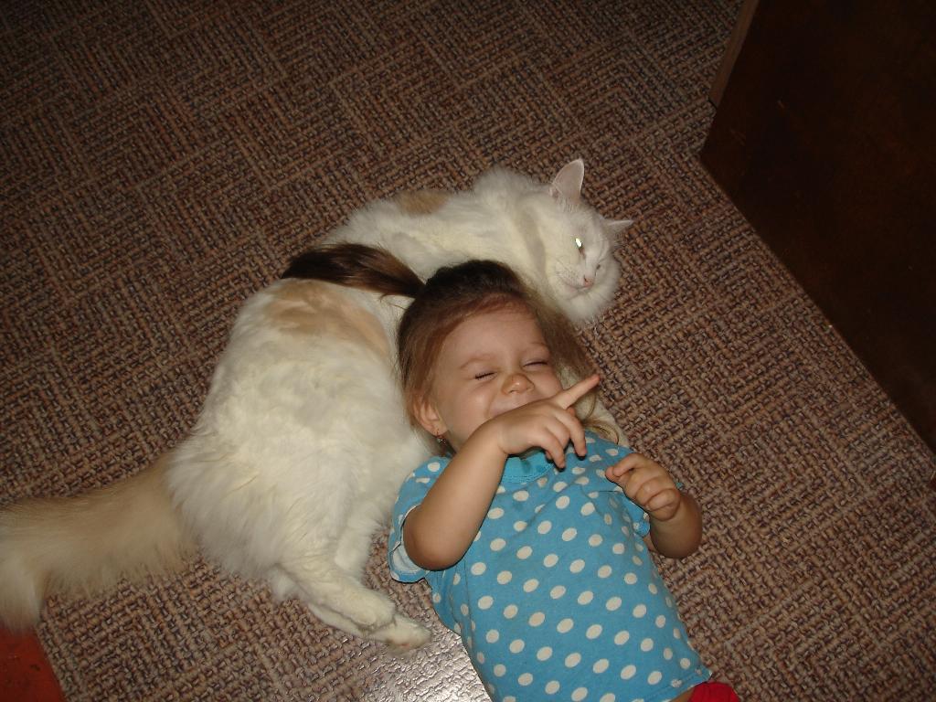 наше счастье, жизнь и любовь